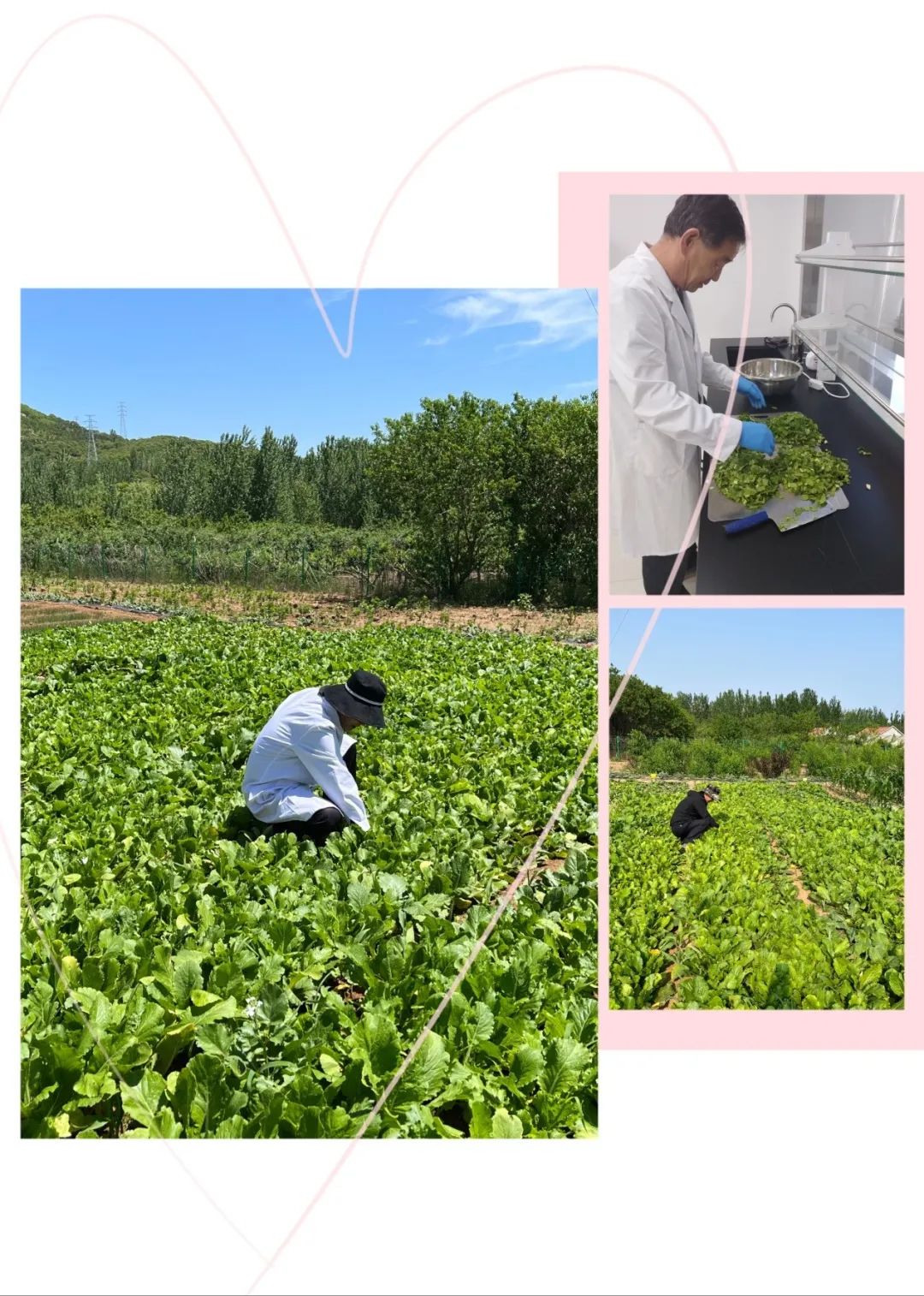 1654592964915067.jpg 5.jpg