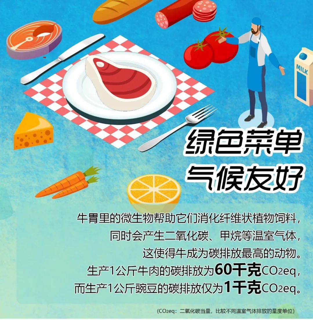 1668395469879014.jpg 2.jpg